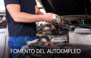 Fomento del autoempleo